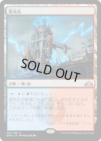 画像1: 【JPN】蒸気孔/Steam Vents[MTG_GRN_257R] (1)