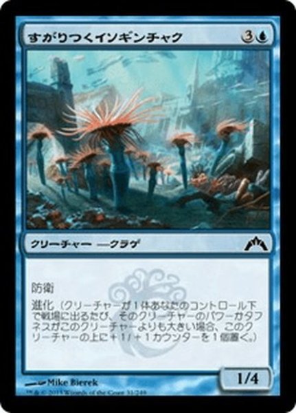 画像1: 【JPN】すがりつくイソギンチャク/Clinging Anemones[MTG_GTC_031C] (1)