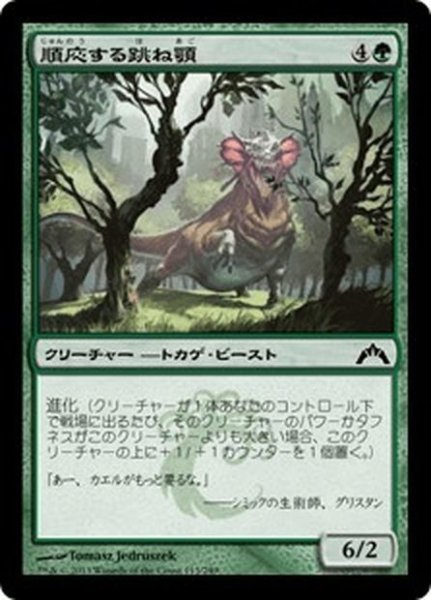 画像1: 【JPN】順応する跳ね顎/Adaptive Snapjaw[MTG_GTC_113C] (1)