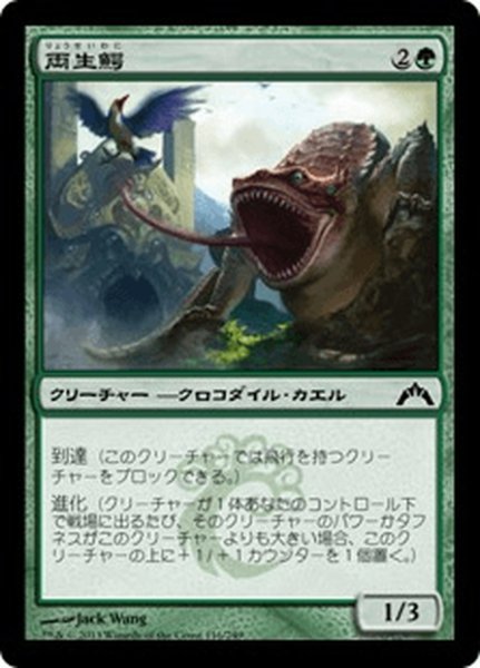 画像1: 【JPN】両生鰐/Crocanura[MTG_GTC_116C] (1)