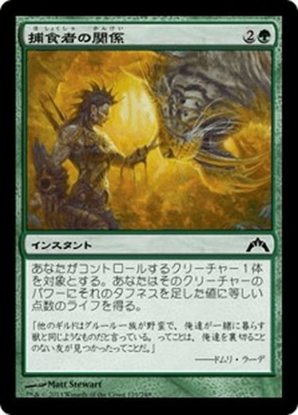 画像1: 【JPN】捕食者の関係/Predator's Rapport[MTG_GTC_129C] (1)