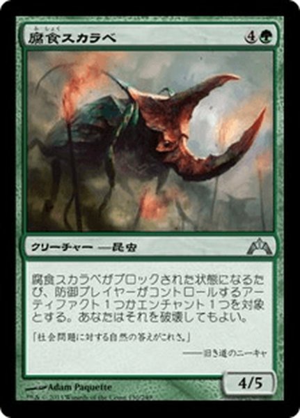 画像1: 【JPN】腐食スカラベ/Rust Scarab[MTG_GTC_130U] (1)