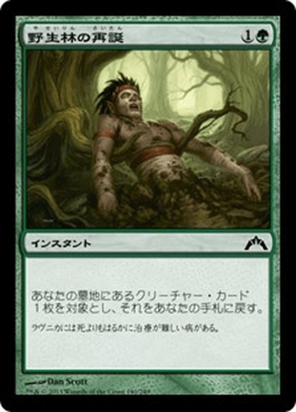 画像1: 【JPN】野生林の再誕/Wildwood Rebirth[MTG_GTC_140C] (1)