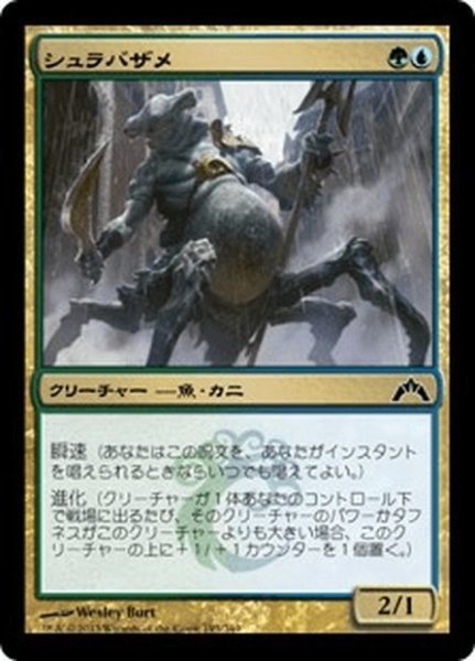 画像1: 【JPN】シュラバザメ/Shambleshark[MTG_GTC_193C] (1)