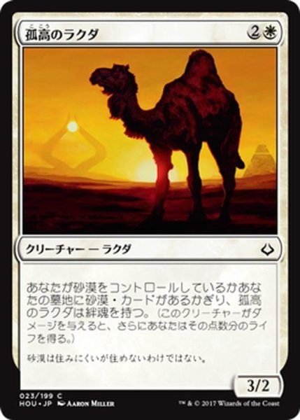 画像1: 【JPN】孤高のラクダ/Solitary Camel[HOU_023C] (1)