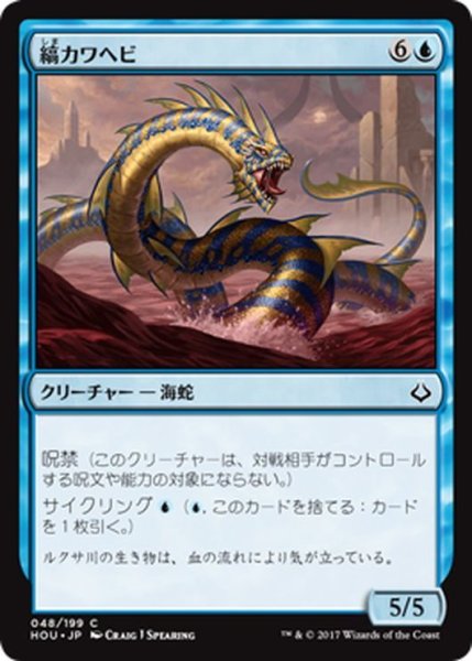 画像1: 【JPN】縞カワヘビ/Striped Riverwinder[HOU_048C] (1)