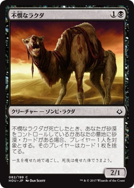 画像1: 【JPN】不憫なラクダ/Wretched Camel[HOU_082C] (1)