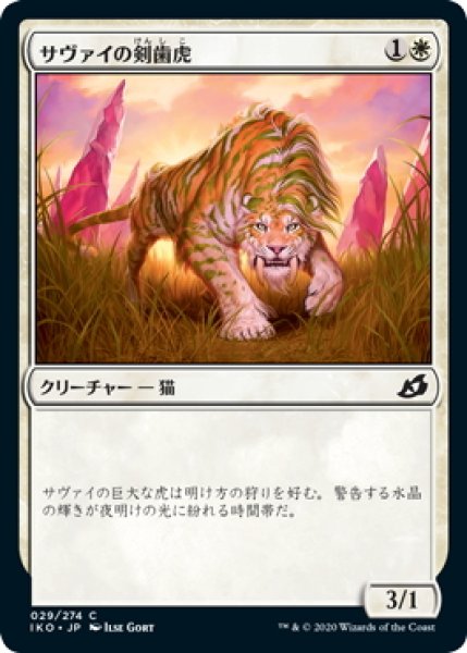 画像1: 【JPN】サヴァイの剣歯虎/Savai Sabertooth[MTG_IKO_029C] (1)