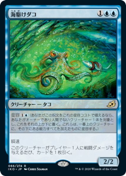 画像1: 【JPN】海駆けダコ/Sea-Dasher Octopus[MTG_IKO_066R] (1)