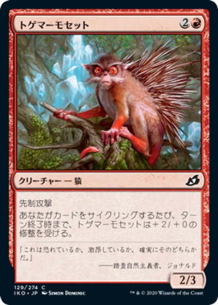 画像1: 【JPN】トゲマーモセット/Prickly Marmoset[MTG_IKO_129C] (1)