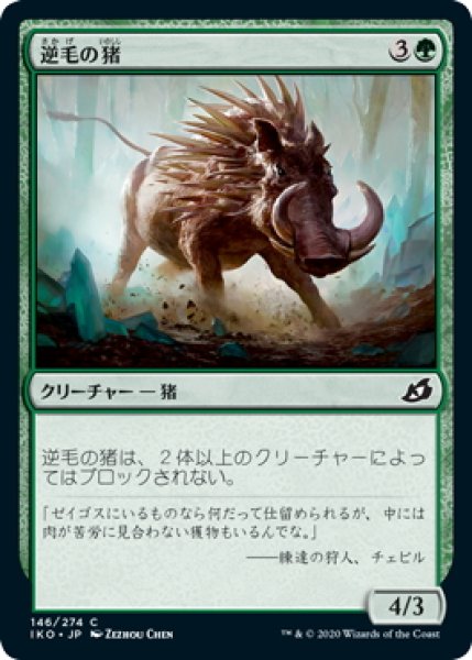 画像1: 【JPN】逆毛の猪/Bristling Boar[MTG_IKO_146C] (1)