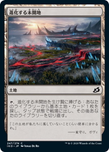 画像1: 【JPN】進化する未開地/Evolving Wilds[MTG_IKO_247C] (1)