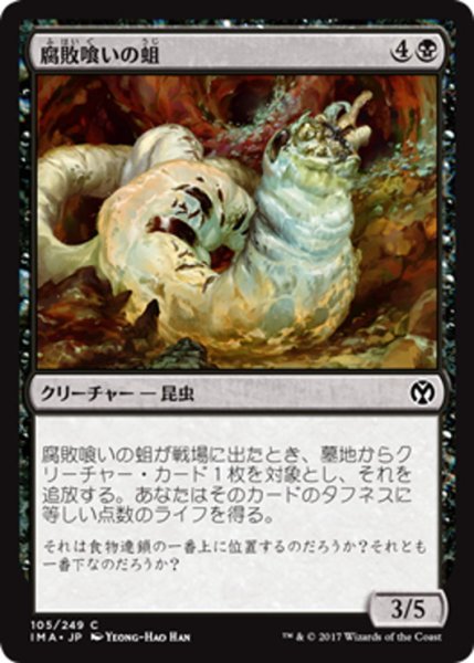 画像1: 【JPN】腐敗喰いの蛆/Rotfeaster Maggot[MTG_IMA_105C] (1)