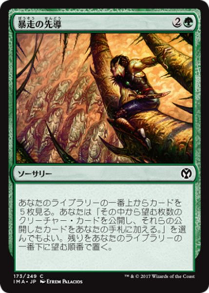 画像1: 【JPN】暴走の先導/Lead the Stampede[MTG_IMA_173C] (1)