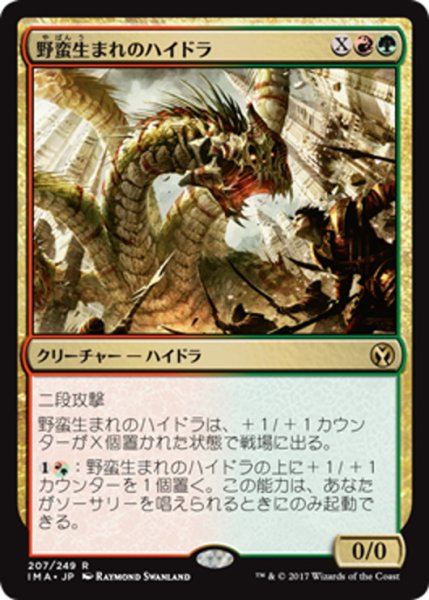 画像1: 【JPN】野蛮生まれのハイドラ/Savageborn Hydra[MTG_IMA_207R] (1)