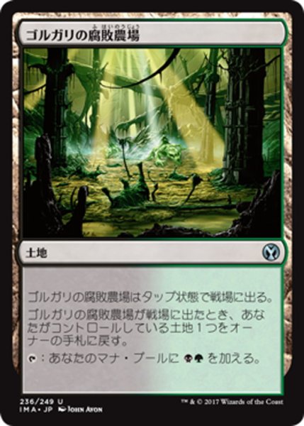 画像1: 【JPN】ゴルガリの腐敗農場/Golgari Rot Farm[MTG_IMA_236U] (1)