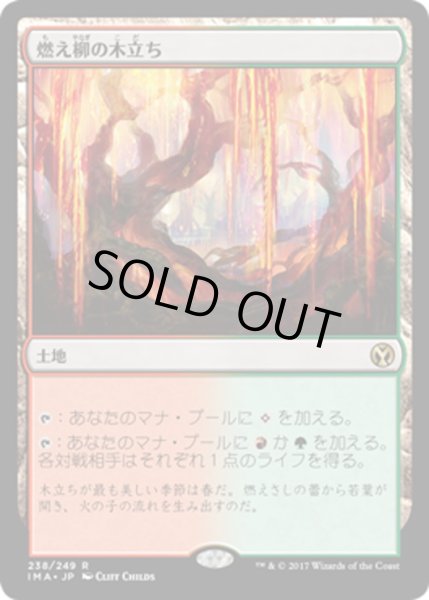 画像1: 【JPN】燃え柳の木立ち/Grove of the Burnwillows[MTG_IMA_238R] (1)