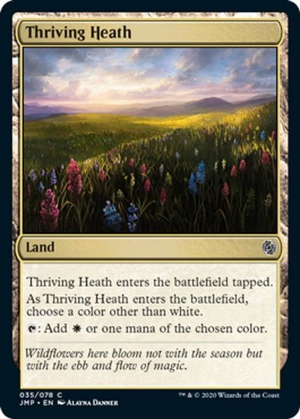 画像1: 【ENG】興隆する荒野/Thriving Heath[MTG_JMP_035C] (1)