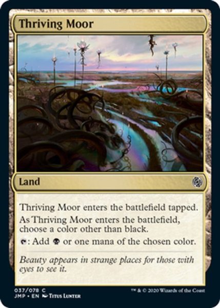 画像1: 【ENG】興隆する湿地帯/Thriving Moor[MTG_JMP_037C] (1)