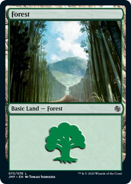 画像1: 【ENG】森/Forest[MTG_JMP_075L] (1)