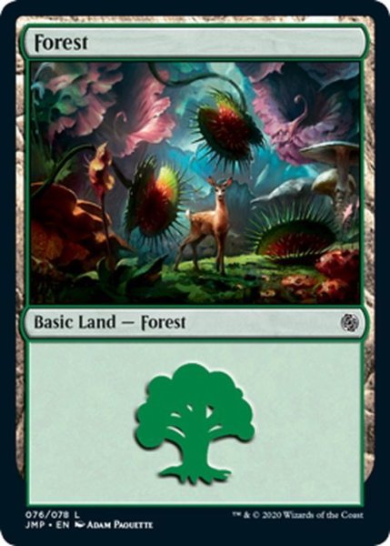 画像1: 【ENG】森/Forest[MTG_JMP_076L] (1)