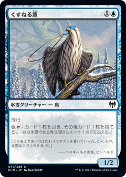 画像1: 【JPN】くすねる鷹/Pilfering Hawk[MTG_KHM_071Ｃ] (1)