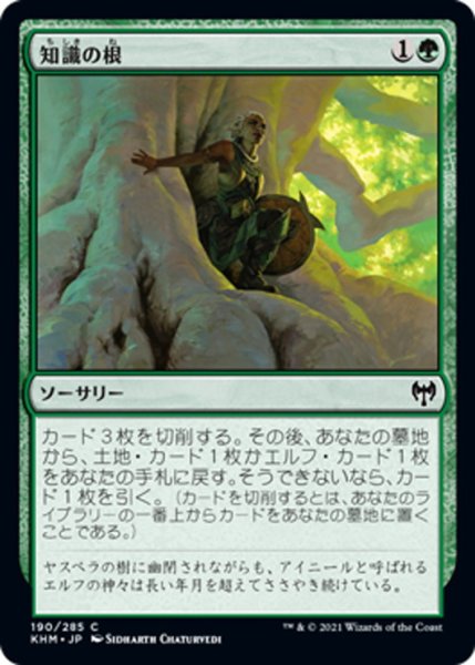 画像1: 【JPN】知識の根/Roots of Wisdom[MTG_KHM_190Ｃ] (1)