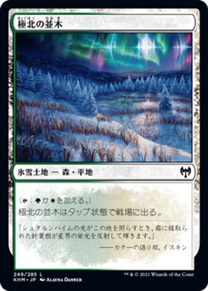 画像1: 【JPN】極北の並木/Arctic Treeline[MTG_KHM_249Ｃ] (1)