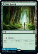 画像1: 【JPN】樹皮路の小道/Barkchannel Pathway/潮水路の小道/Tidechannel Pathway[MTG_KHM_251Ｒ] (1)