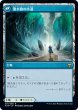 画像2: 【JPN】樹皮路の小道/Barkchannel Pathway/潮水路の小道/Tidechannel Pathway[MTG_KHM_251Ｒ] (2)