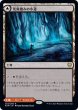 画像1: 【JPN】荒廃踏みの小道/Blightstep Pathway/灼熱踏みの小道/Searstep Pathway[MTG_KHM_252Ｒ] (1)