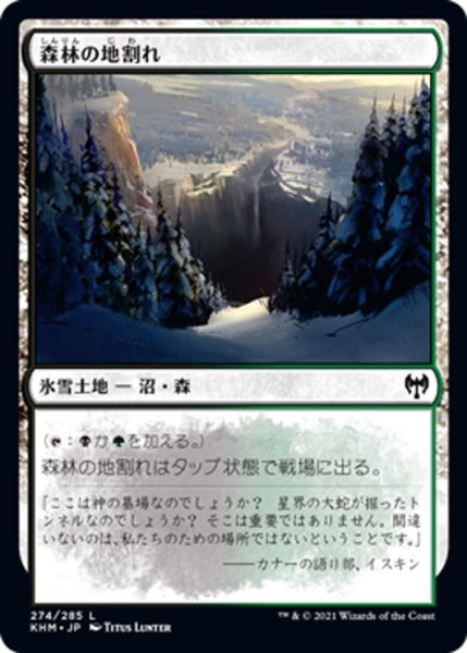 画像1: 【JPN】森林の地割れ/Woodland Chasm[MTG_KHM_274Ｃ] (1)