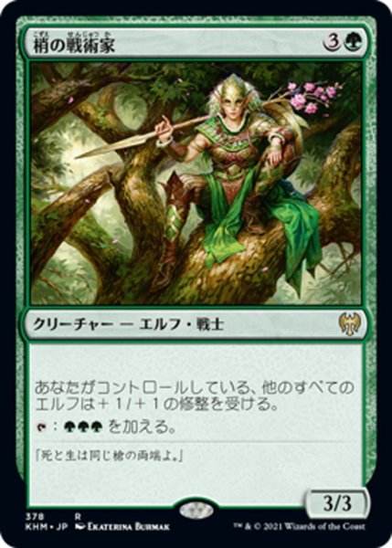 画像1: 【JPN】梢の戦術家/Canopy Tactician[MTG_KHM_378Ｒ] (1)