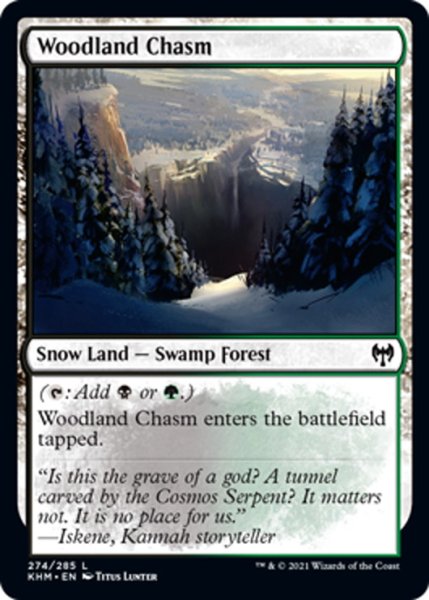 画像1: 【ENG】森林の地割れ/Woodland Chasm[MTG_KHM_274Ｃ] (1)