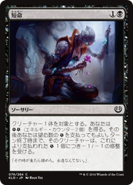 画像1: 【JPN】短命/Die Young[MTG_KLD_076C] (1)