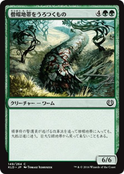 画像1: 【JPN】僧帽地帯をうろつくもの/Cowl Prowler[MTG_KLD_149C] (1)