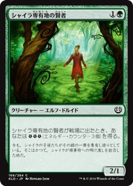 画像1: 【JPN】シャイラ専有地の賢者/Sage of Shaila's Claim[MTG_KLD_168C] (1)