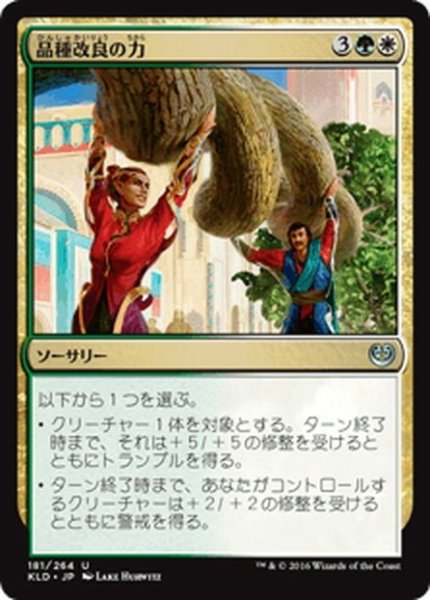 画像1: 【JPN】品種改良の力/Engineered Might[MTG_KLD_181U] (1)