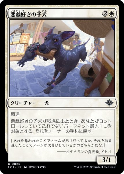 画像1: 【JPN】悪戯好きの子犬/Mischievous Pup[MTG_LCI_025U] (1)