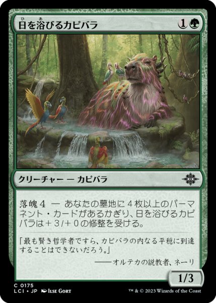 画像1: 【JPN】日を浴びるカピバラ/Basking Capybara[MTG_LCI_175C] (1)