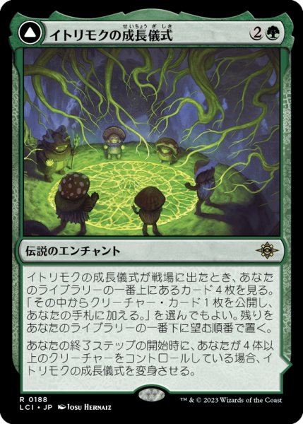 画像1: 【JPN】イトリモクの成長儀式/Growing Rites of Itlimoc/太陽の揺籃の地、イトリモク/Itlimoc, Cradle of the Sun[MTG_LCI_188R] (1)