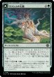 画像1: 【JPN】カスレムの石樹/Kaslem's Stonetree/カスレムの徘徊者/Kaslem's Strider[MTG_LCI_197C] (1)