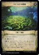 画像2: 【JPN】一往一来/Twists and Turns/マイコイドの迷路/Mycoid Maze[MTG_LCI_217U] (2)