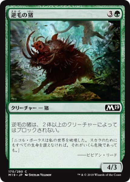 画像1: 【JPN】逆毛の猪/Bristling Boar[MTG_M19_170C] (1)