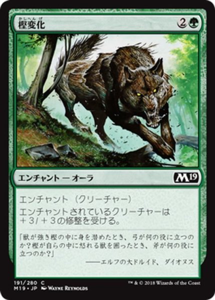 画像1: 【JPN】樫変化/Oakenform[MTG_M19_191C] (1)