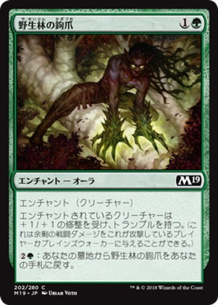 画像1: 【JPN】野生林の鉤爪/Talons of Wildwood[MTG_M19_202C] (1)