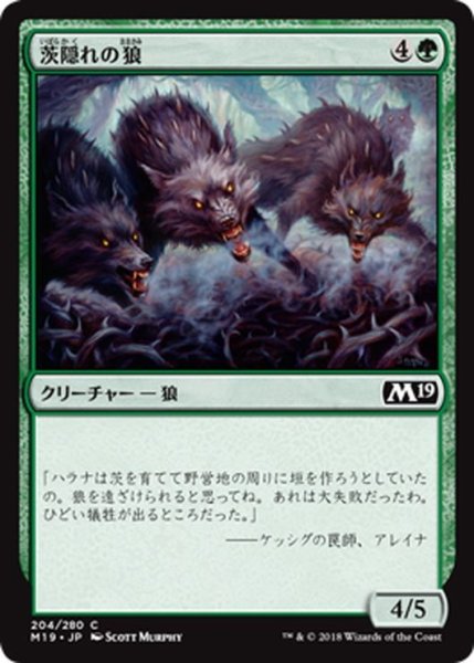 画像1: 【JPN】茨隠れの狼/Thornhide Wolves[MTG_M19_204C] (1)