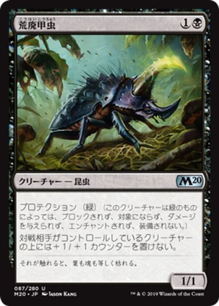 画像1: 【JPN】荒廃甲虫/Blightbeetle[MTG_M20_087U] (1)