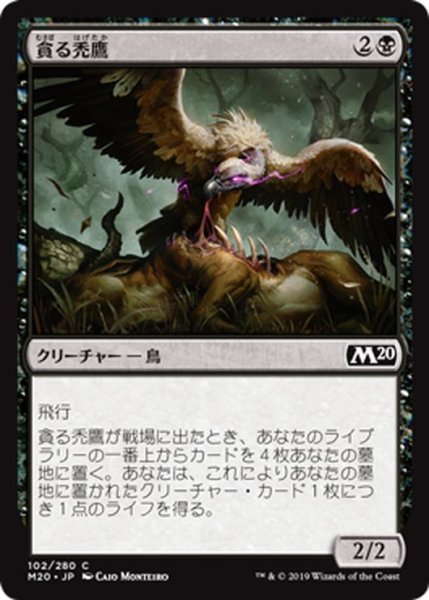 画像1: 【JPN】貪る禿鷹/Gorging Vulture[MTG_M20_102C] (1)