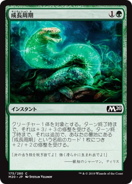 画像1: 【JPN】成長周期/Growth Cycle[MTG_M20_175C] (1)